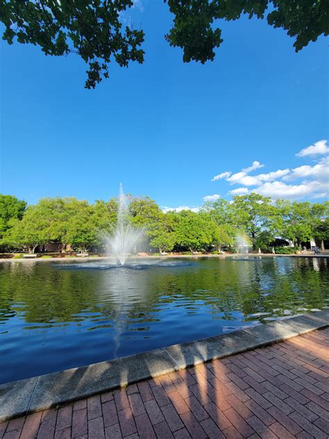 University of South Carolina - Acceptance Rate, Deadlines & Admission Info