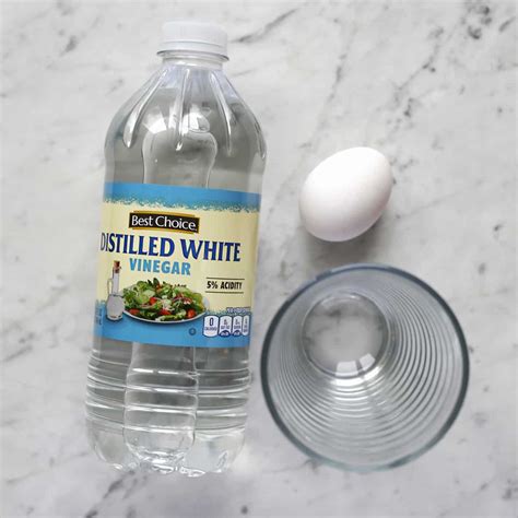 Egg Vinegar Experiment Steps at Brooke Plume blog