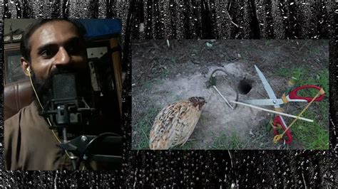 How to Make a Snake Trap Easy 的图像结果