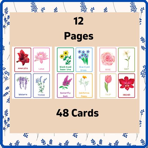 Spring FlashCards 的图像结果