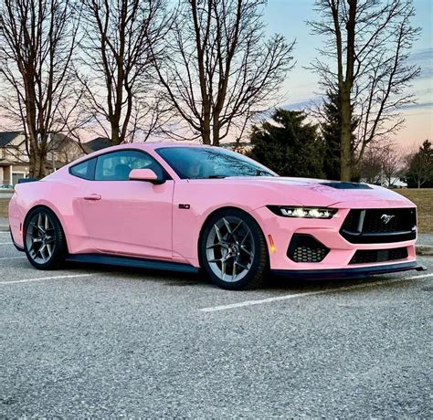 Pink Mustang