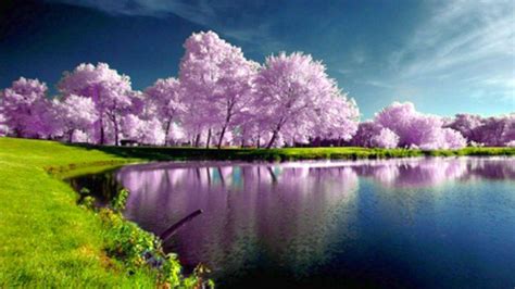 Image result for Springtime Background Music