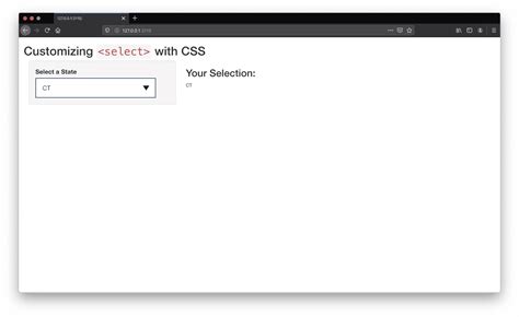 Image result for HTML Select Input