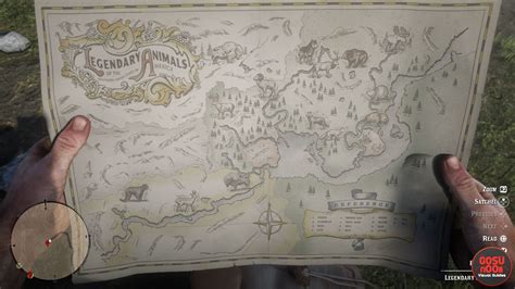 Image result for RDR2 All Animals Map