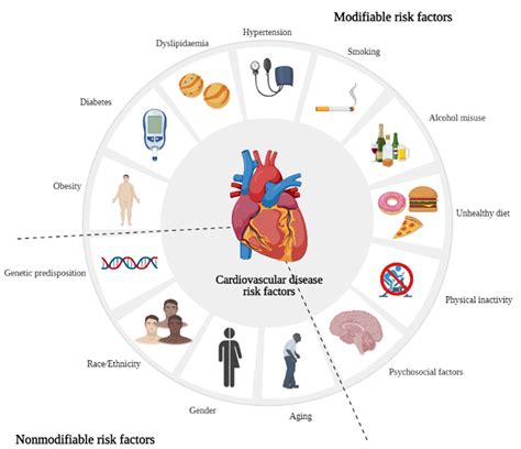 Understanding The Primary Risk Factors For Heart Failure