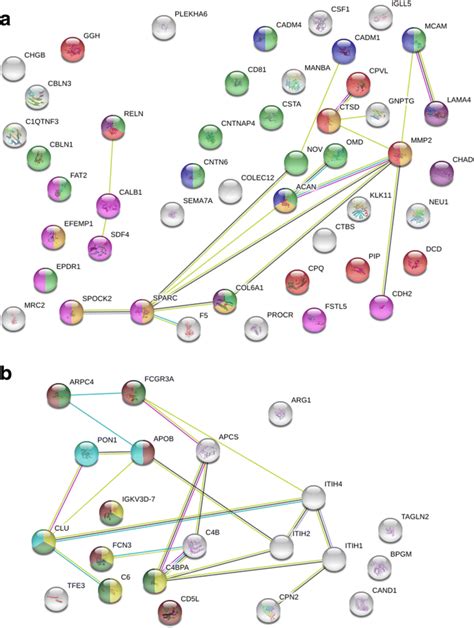 Image result for STRING Protein Interactions