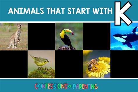 May 2023 - Confessions of Parenting- Games, Jokes and Fun