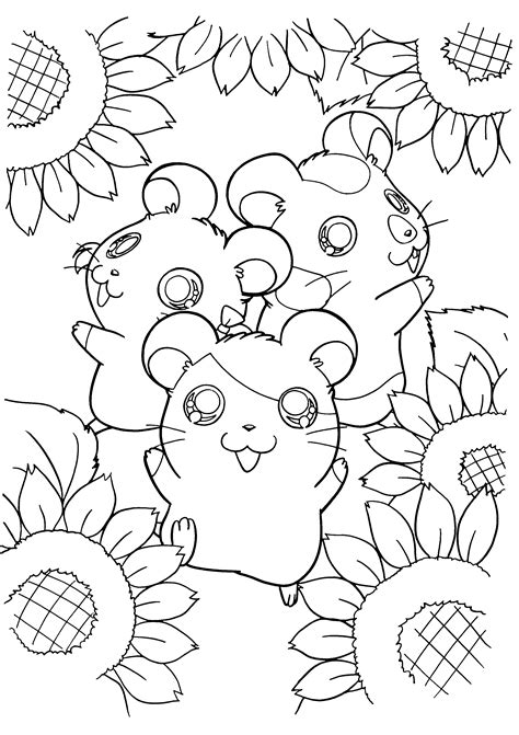 Hamster Coloring Pages - Best Coloring Pages For Kids