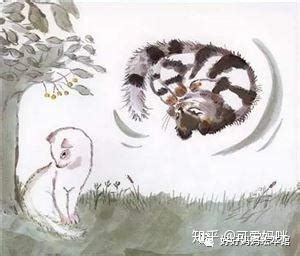 活了100万次的猫 || 中文绘本故事大声读 Picture Book Read Aloud - YouTube