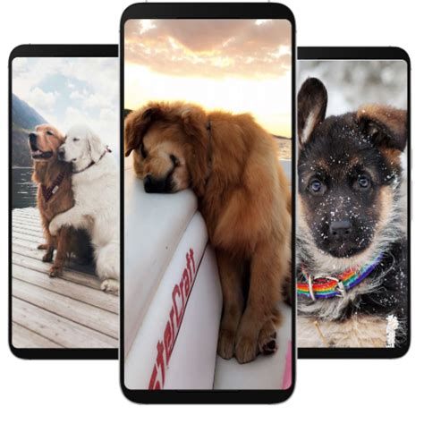 Puppies Wallpapers - App on Amazon Appstore