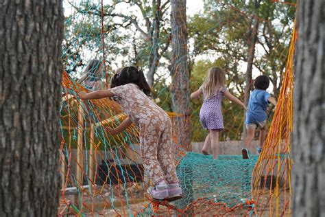 Tree Net 的图像结果