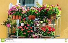 vasi da balcone balcone con molti vasi da fiori fotografia stock vasi da balcone balcone con molti vasi da fiori fotografia stock