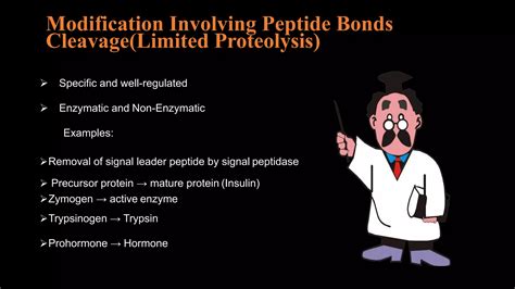 Most Common Post Translation Modification of Protein 的图像结果