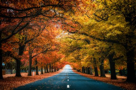 Image result for Autumn Homework EYFS