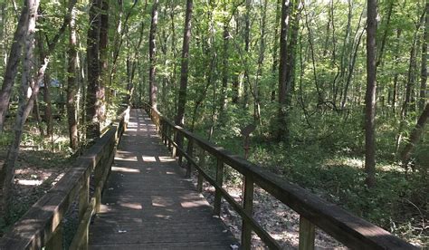 THE 30 BEST Places to Visit in Jackson (2026) - Must-See Attractions