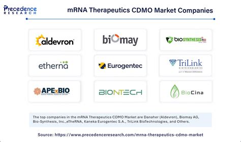 MRNA Therapeutics CDMO Market Size To Gain USD 13.36 Billion By 2034