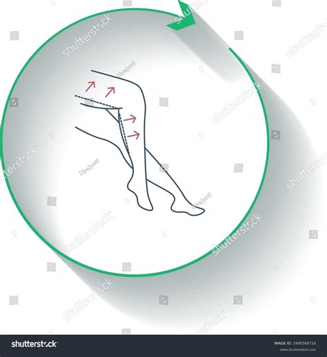 Thigh Lift Thighplasty Surgical Procedure Stock Vector (Royalty Free) 2490566719 | Shutterstock