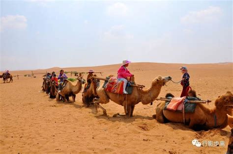 卡塔尔游客多到骆驼加班|沙漠_新浪新闻