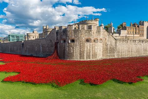 Ceramic poppies are returning to the Tower of London to mark the 80th ...