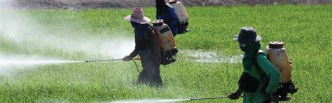 CRYSTAL Fertilizers & Chemicals