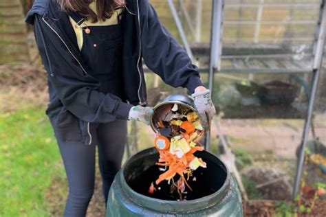 Image result for Compost Making Tutorial