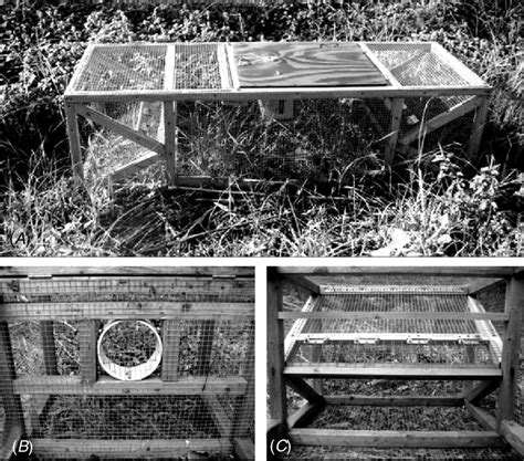 Image result for Python Muffler or a Python Trap