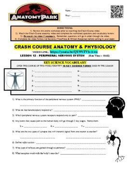 Image result for Crash Course Nervous System