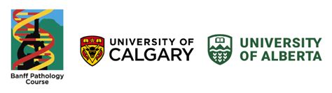 Rezultat imagine pentru Pathology Course