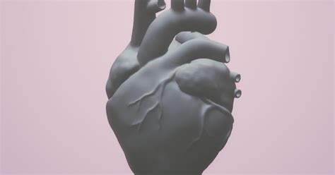 Human Heart Drawing Easy 的图像结果