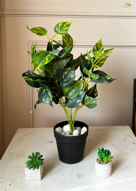 Artificial Golden Pothos for Decor | with Basic Pot | 48.3 cm ...
