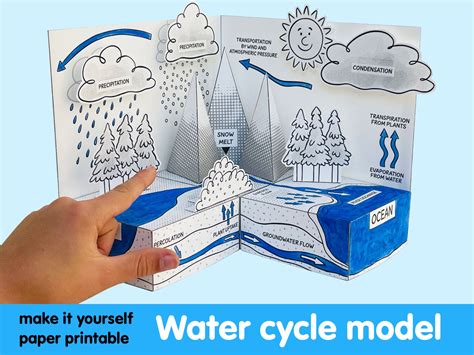 WATER CYCLE MODEL - Printable Paper Diorama. Make It Yourself School Project. - Etsy | Water ...