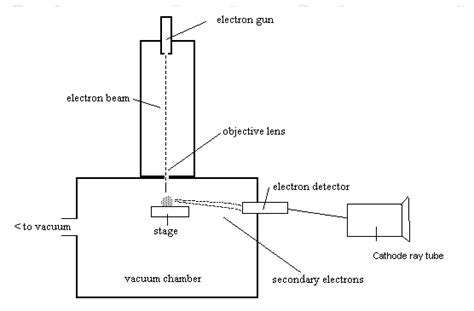 Image result for How Does a Scanning Electron Microscope Work Cochell