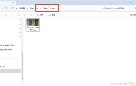 AForge.NET Camera Tutorial VB.NET 的图像结果
