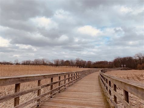 Coronavirus destress guide: Parks, walks, streaming movies and concerts ...