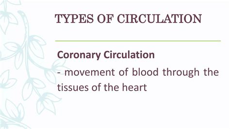 Circulation Class 12 的图像结果