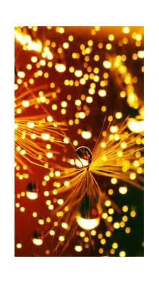 Iphone Backgrounds Lights by Lights Iphone Wallpapers Pixelstalk Net Iphone Backgrounds Lights