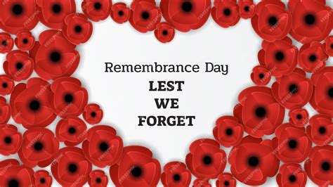 Red poppy flowers in white background suitable for remembrance day lest ...