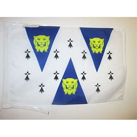 AZ FLAG Shropshire Old County Flag 18'' x 12'' Cords - County of Salop ...