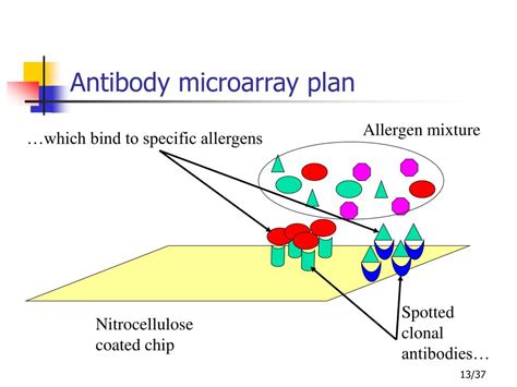 Antibody Microarray Slides 的图像结果