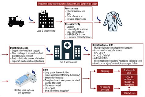 Management of cardiogenic shock | EuroIntervention