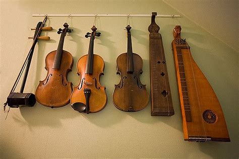 Image result for Special String Instruments