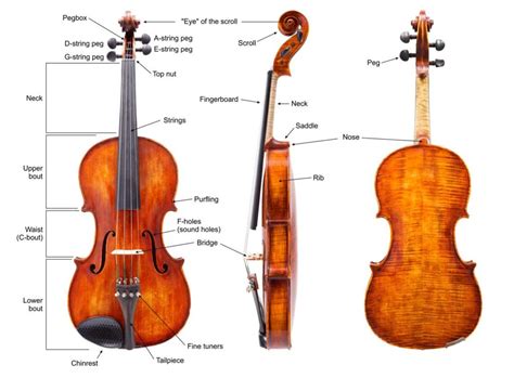 Violin Parts | What Makes a Violin? | NewViolinist