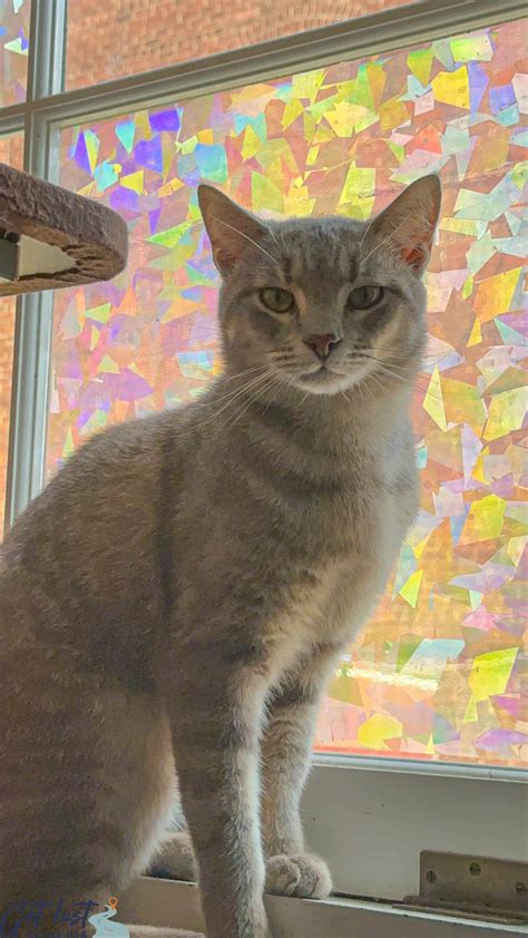 Things to Do in Downtown Concord NC - Get Lost In The USA