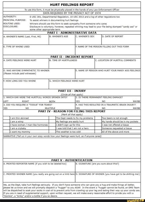 Hurt Feelings Report Form