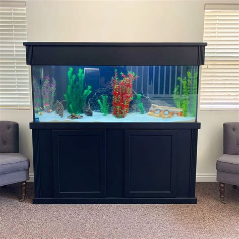 How To Set Up A 100 Gallon Fish Tank at Joanne Bradley blog