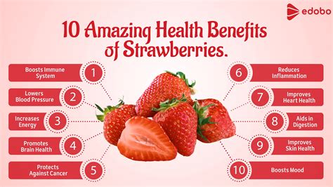Do Strawberries Stop Diarrhea at Humberto Watts blog