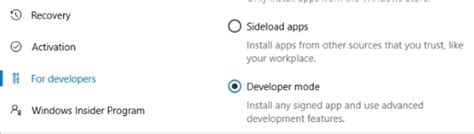 Image result for Use Developer Features Windows 1.0