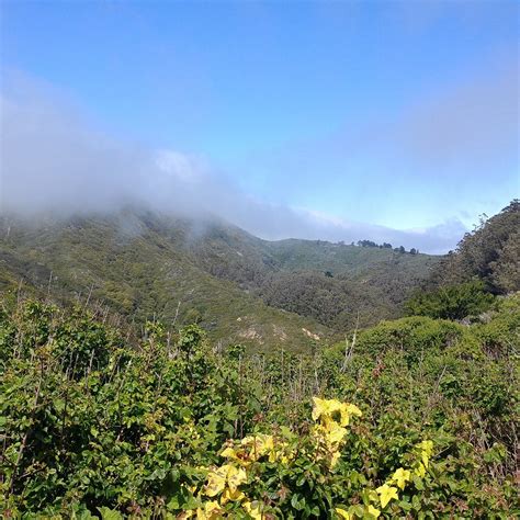 San Pedro Valley Park - All You Need to Know BEFORE You Go (2025)