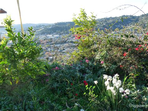 Ernest E. Debs Regional Park | Rent this location on Giggster