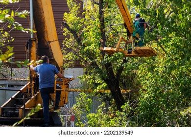 Image result for Telehandler Tree Care